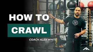 Master the Art of Crawling: Essential Techniques for Core and Coordination | Episode 3