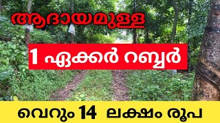 ആദായമുള്ള 1ഏക്കർ റബ്ബർ തോട്ടം                     |  FOR SALE Homes \u0026Properties | #rubberestate