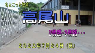 ちょこっと散策　高尾山　２号路・３号路・・・　2022年7月24日（日）