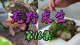 荒岛生存（16）荒岛求生 和队友制作全自动淡水蒸馏装置，终于喝上，挖葛根的时候意外收获粉条子，饱餐一顿