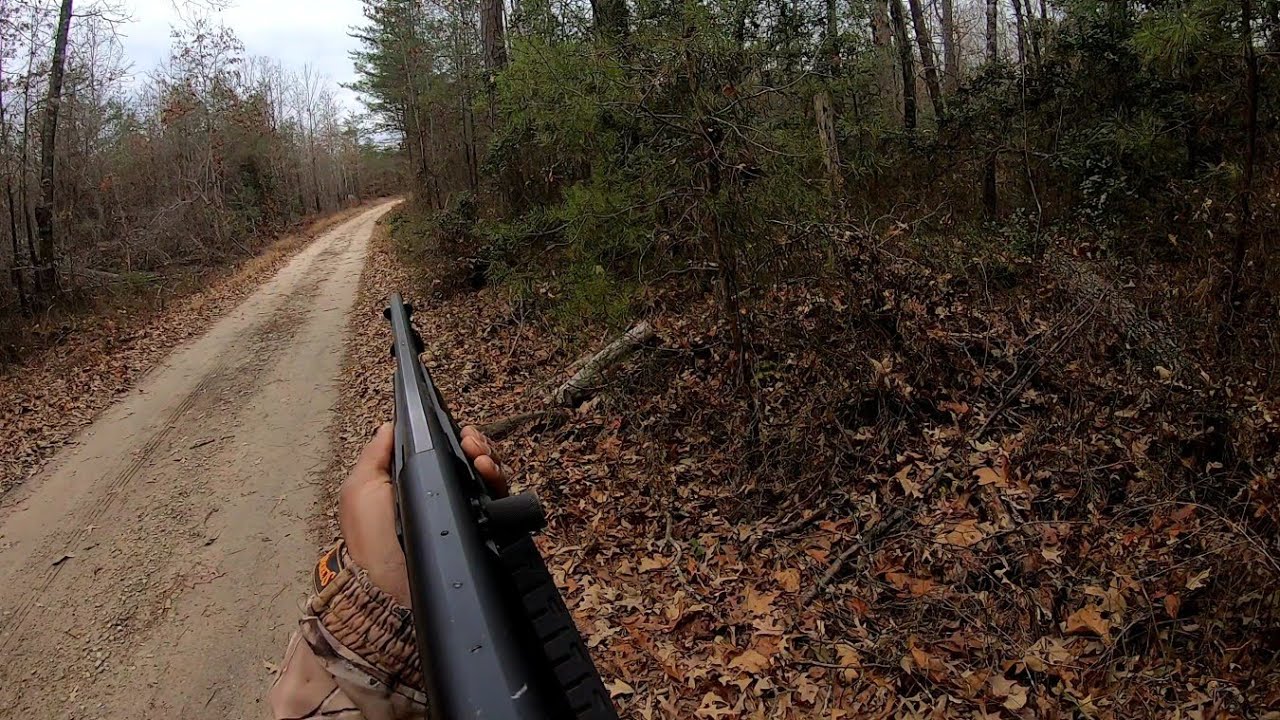 Deer Hunting With Dogs!! Multiple Kill Shots!!! W.B. Hunt Club!! - YouTube