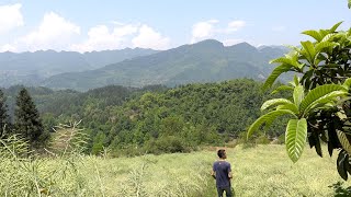 农村这样的小竹笋，是炒腊肉最好的食材，其它笋子不能比/The bamboo shoots/Delicious bacon