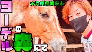 【ヨーデルの森】にて動物とのふれあい\u0026色々体験~ in 兵庫県朝来市