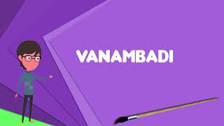 What is Vanambadi (TV series)?, Explain Vanambadi (TV series), Define Vanambadi (TV series)