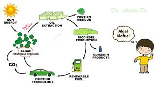 #algae #biofuel #biodiesel Algal Biofuel