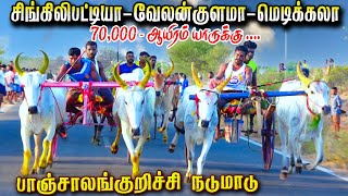 தூத்துக்குடி மாவட்டம் பாஞ்சாலங்குறிச்சி 70000ஆயிரம் பந்தயம் 12.05,2024