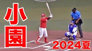 小園の打席【2024年8月29日 中日広島戦】