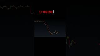 붓다빔을 기억하시나요? #비트코인 #bitcoin #알트코인