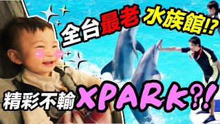 不輸桃園 Xpark 水族館 ？！全台 最老親子 海洋公園 ！！｜默森親子旅遊趣 ｜默森夫妻