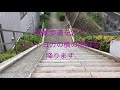 【道案内】成増カフェ u0026ギャラリーpatinaへの道案内動画