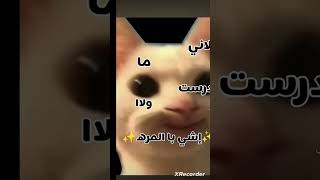 ٣٠ كانون الثاني ٢٠٢٥