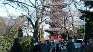 2010年初詣 東京池上本門寺　2010 New Year's visit to a temple in Tokyo