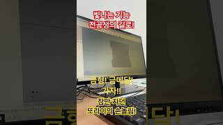 기특하다! 또라이 송!