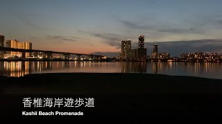 【4K】【BGM】香椎海岸遊歩道