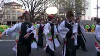 静岡まつり2012 竹千代殿どん 常大 祭り組 夜桜乱舞