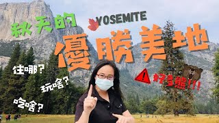 旅遊聖地Yosemite優勝美地國家公園被熊追?!｜玩什麼? 吃什麼? 住哪裡? 一日遊攻略｜【美國好好玩 】