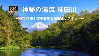 神秘の清流 柿田川 〜8KVRで体験！空中散歩と絶景癒しスポット〜/Explore the Enchanting Crystal Waters of Kakita River with 8KVR!!!