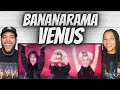 FIRST TIME HEARING Bananarama -  Venus REACTION