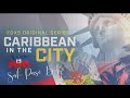 Resilience and Resourcefulness in Little Haiti - [Caribbean in the City]