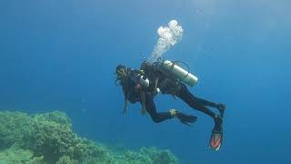 ലക്ഷദ്വീപ്... കടൽ കാഴ്ച scuba 😔