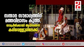 സന്താന സൗഭാ​ഗ്യത്തിന് മത്തവിലാസം കൂത്ത്,  ദേവപ്രീതിക്കായി ആയിരങ്ങൾ കരിവെള്ളുരിലേക്ക്