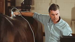 Equine Back Exam: SonoSite Veterinary Education