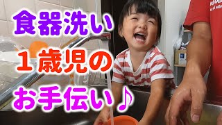 【1歳10ヶ月】食器洗いのお手伝いをする1歳の女の子♪笑いながら楽しそうに洗い物♪