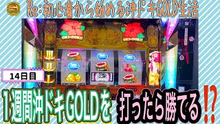 【スロット実践】Re:初心者から始める沖ドキGOLD生活　14日目 一週間沖ドキGOLDを打ってみました。勝てる？勝てない？どっち⁉️