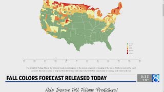 Foliage forecast: When will the leaves change color?