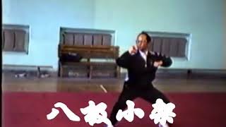 Chang Chun Baji Quan & Weapon  長春八極拳 演练合集  Sifu Sun ShengTing 孫生亭