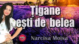 MUZICA DE PETRECERE – NARCISA MOISA - TIGANE ESTI DE BELEA