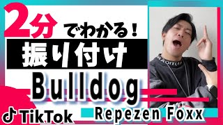 【TikTok】Bulldog/Repezen Foxx【ダンス解説】