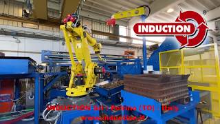 3D ROBOT VISION LOADING SYSTEM for hot forging induction furnaces - Loading of short billets
