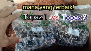 PERBANDINGAN DxP Topaz 1 seri 4 dan DxP Topaz 3 seri 4 silahkan pilih yang mana.?