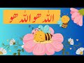 ALLAH HO ALLAH HO | Islamic lori |Allah hoo Allah hoo| Allah Hoo Allah Hoo Kids Cartoon