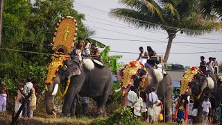 ആനച്ചന്തം പുളിയങ്കാവ് വേല 2024