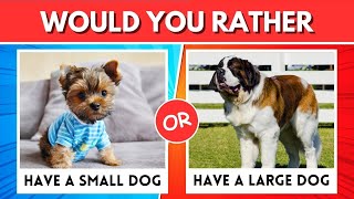 Would you rather | dogs vs cats edition 🐶🦊| Part 2 | Chasing Career