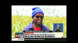 Ukulima wang’aa Mandera