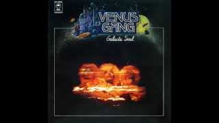 VENUS GANG   Love To Fly   EPIC RECORDS   1978