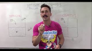 Passive Transport