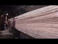 Sawmill process of the most expensive log in indonesia