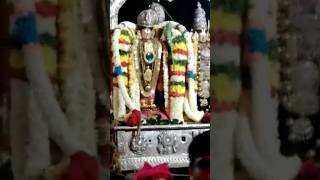 Sri Andal Rangamannar Thiru Vedhi Urchavam #sanatandharmayatra #sanatandharma #krishna #srirangam