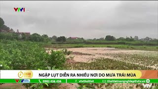 Ngập lụt diễn ra nhiều nơi do mưa trái mùa | VTVWDB