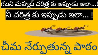 గజని మహ్మద్ చరిత్ర కు అప్పుడు అలా...! నీ చరిత్ర కు ఇప్పుడు ఇలా... ! Must Watch @TeluguCitizen