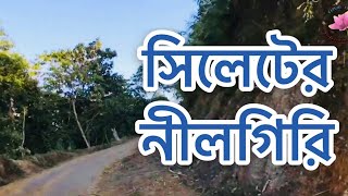 বুবারতল, বড়লেখা, মৌলভীবাজার Bubartol, Barlekha, Moulvibazar