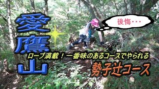 マイナールート勢子辻で愛鷹山！ロープ地獄で汗だく！知られざる愛鷹山。