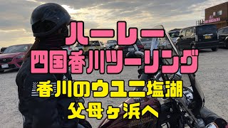 四国香川 ハーレーダビッドソン 夫婦ツーリング