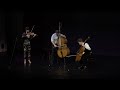 Bach Sonata for Viola da Gamba & Harpsichord No. 1, BWV 1027 arr. for violin, cello & double bass