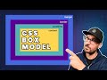 Master the CSS Box Model in 20 Minutes! (Full Tutorial)