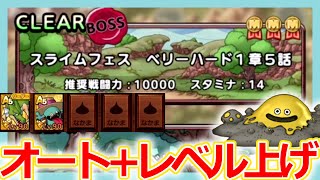 【DQタクト】スライムフェス！ベリーハード1章5話をオート周回しつつレベル上げをするなら？【ドラクエタクト/DQT】